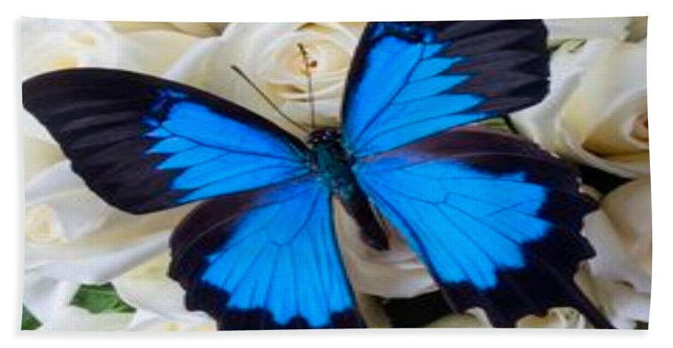 Blue Butterfly on white roses - Beach Towel Home-clothes-jewelry