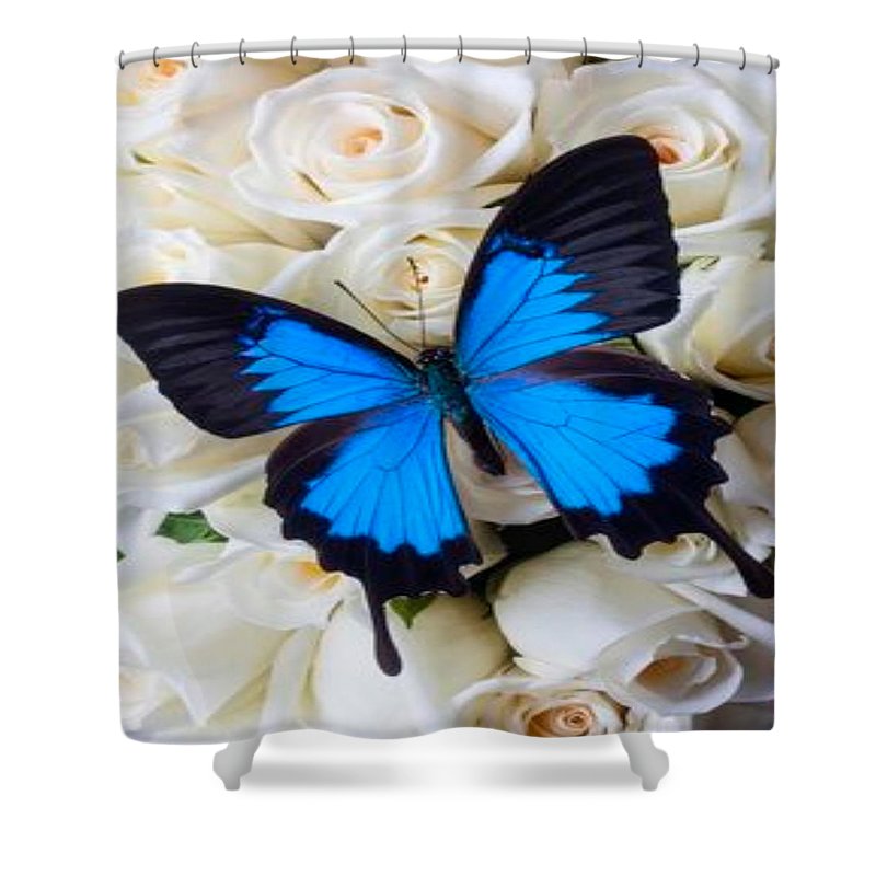 Blue Butterfly on white roses - Shower Curtain Home-clothes-jewelry