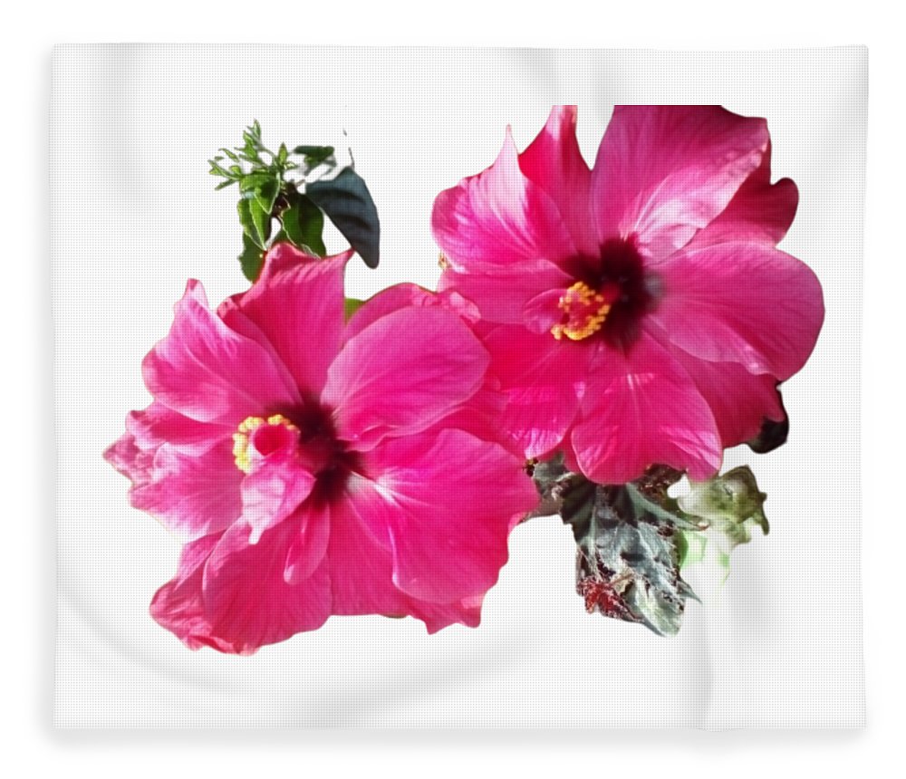 Hibiscus - Blanket Home-clothes-jewelry